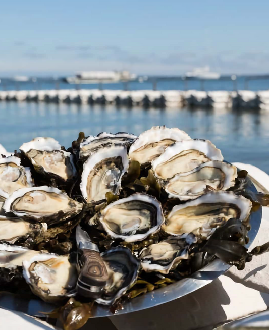 Les huîtres, stars des tables de Noël